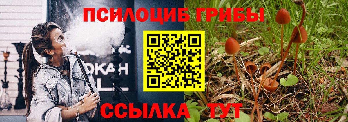Псилоцибиновые грибы Psilocybe Реж
