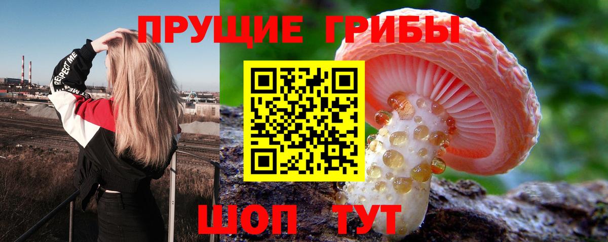 Реж  где можно купить наркотик  Вход с VPN  Псилоцибиновые грибы Psilocybine cubensis 