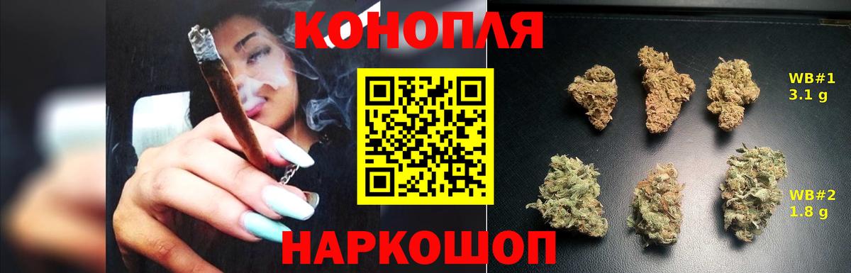 Бошки Шишки индика  МАРИХУАНА планчик  Реж  Каннабис семена  Вход с VPN 